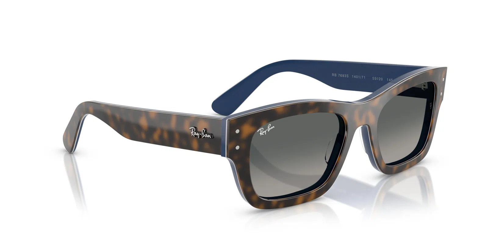 Ray-Ban Joseph 7683S Sunglasses - view 20